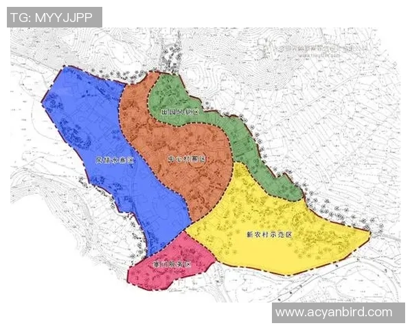 里昂足球俱乐部的组织结构与管理模式分析及其发展策略探讨