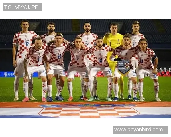 欧洲杯预选赛形势分析各队表现及晋级前景展望