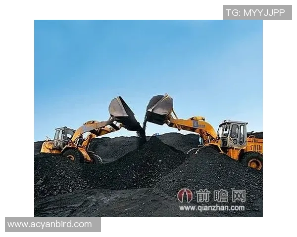 老将状态回暖的原因与影响全面分析及未来展望