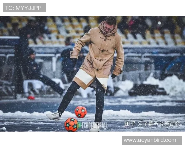 拜仁慕尼黑主场白鹿冠军，德甲榜首胜势如虹