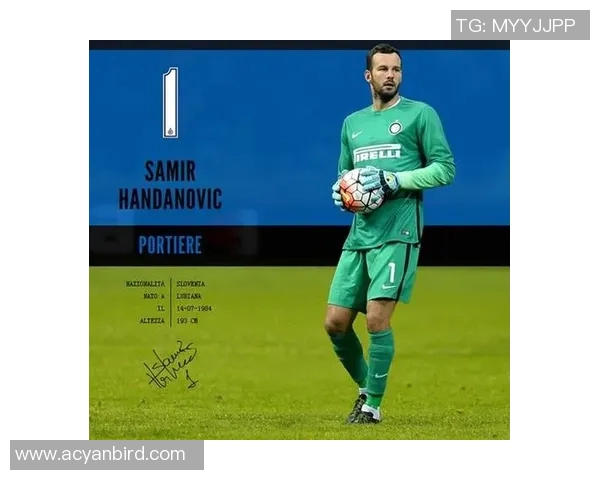 汉达诺维奇帮助球队取得胜利,成为新闻焦点 汉达诺维奇帮助球队取得胜利,成为新闻焦点