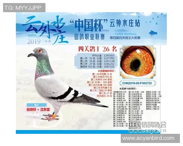 全面分析各大联赛信息及其最新动态整理报告