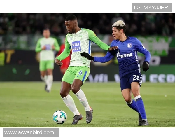 沙尔克04凭借顽强斗志在德甲赛场上取得惊险胜利 沙尔克04凭借顽强斗志在德甲赛场上取得惊险胜利