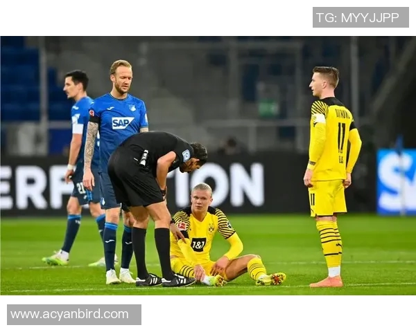 霍芬海姆客场失利,多特蒙德掀起三连胜潮势 霍芬海姆客场失利,多特蒙德掀起三连胜潮势